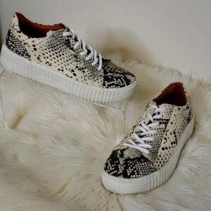 Steve Madden Oleta PU Leather Snakeskin Sneakers Coated Leather Womens Summer